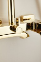 Душевая стойка BELZ B507 B24507-5 золото