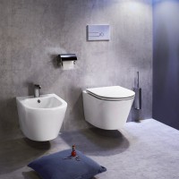 Биде подвесное Jacob Delafon Rodin+ EMJ0002-00 глянцевое белое Биде подвесное Jacob Delafon Rodin+ EMJ0002-00 глянцевое белое