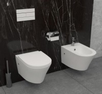 Биде подвесное Jacob Delafon Rodin+ EMJ0002-00 глянцевое белое Биде подвесное Jacob Delafon Rodin+ EMJ0002-00 глянцевое белое