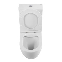 Унитаз-компакт напольный BelBagno Amanda BB051CPR BB089SC с микролифтом, безободковый, глянцевый белый