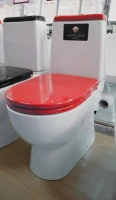 Унитаз-компакт напольный Sanita luxe Best Color Red с микролифтом Унитаз-компакт напольный Sanita luxe Best Color Red с микролифтом