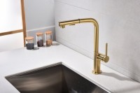 Смеситель для кухни Paulmark Neo Ne214419-LG светлое золото