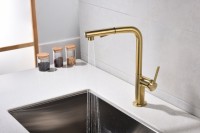 Смеситель для кухни Paulmark Neo Ne214419-LG светлое золото