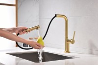 Смеситель для кухни Paulmark Neo Ne214419-LG светлое золото