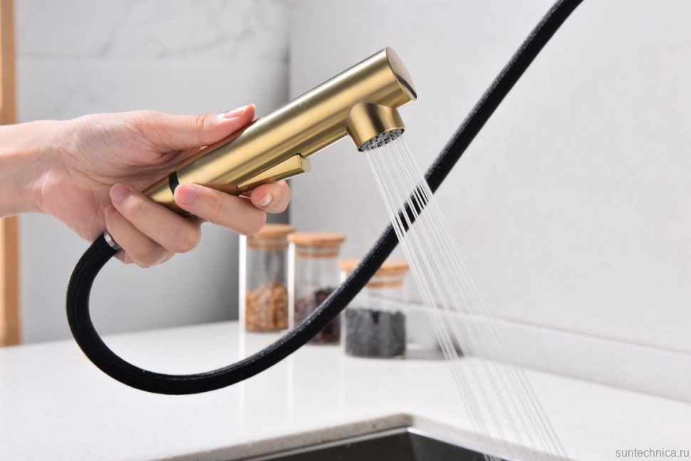 Смеситель для кухни Paulmark Neo Ne214419-LG светлое золото