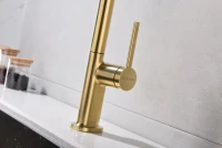 Смеситель для кухни Paulmark Neo Ne214419-LG светлое золото