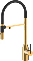 Смеситель для кухни Paulmark Magneto One Ma213188-BG брашированное золото