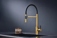 Смеситель для кухни Paulmark Magneto One Ma213188-BG брашированное золото