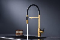 Смеситель для кухни Paulmark Magneto One Ma213188-BG брашированное золото