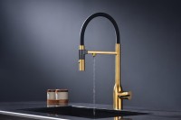 Смеситель для кухни Paulmark Magneto One Ma213188-BG брашированное золото