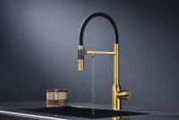 Смеситель для кухни Paulmark Magneto One Ma213188-BG брашированное золото