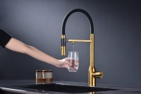 Смеситель для кухни Paulmark Magneto One Ma213188-BG брашированное золото