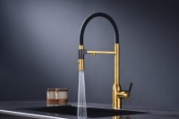 Смеситель для кухни Paulmark Magneto One Ma213188-BG брашированное золото