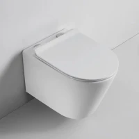 Комплект Унитаз подвесной BOND Oval F03-10 безободковый, с микролифтом + Крепления Geberit Duofix 111.815.00.1 к стене + Звукоизоляция + Инсталляция UP 320 111.300.00.5 + Кнопка Sigma 01 115.770.21.5 хром