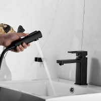 Смеситель для раковины Shevanik S8271H с гигиеническим душем, черный