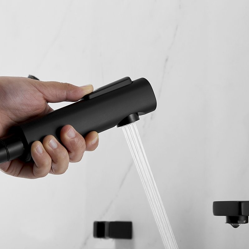 Смеситель для раковины Shevanik S8271H с гигиеническим душем, черный