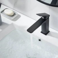 Смеситель для раковины Shevanik S8901H-1 черный Смеситель для раковины Shevanik S8901H-1 черный
