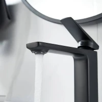 Смеситель для раковины Shevanik S8901H-1 черный Смеситель для раковины Shevanik S8901H-1 черный