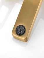 Душевая стойка Haiba HB24732-5 брашированное золото