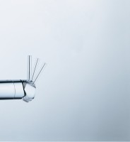 Смеситель для кухни Grohe Minta 32168000