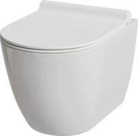 Унитаз подвесной Damixa Apollo DX22C1700SC с микролифтом, безободковый