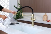 Смеситель для кухни Paulmark Nexus Diamond Nd613999-LG с гибким изливом, светлое золото