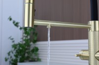 Смеситель для кухни Paulmark Nexus Diamond Nd613999-LG с гибким изливом, светлое золото