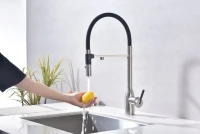 Смеситель для кухни Paulmark Magneto One Ma213188-BS брашированная сталь