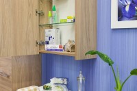 Зеркало-шкаф Sanflor Ларго L, 60, вяз швейцарский