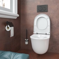 Кнопка смыва Geberit Sigma 20 115.882.16.1 черная, матовый лак