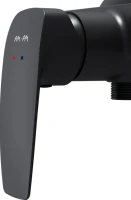 Смеситель для душа AM.PM Tender F45A20022