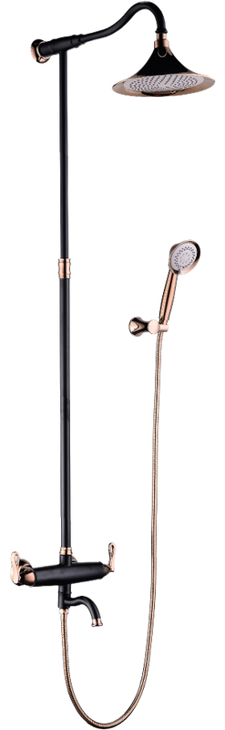 Душевая стойка Lemark Prime LM6162BRG