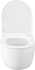 Унитаз подвесной Allen Brau Priority 4.31002.20 безободковый, с микролифтом, белый