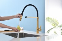 Смеситель для кухни Paulmark Halt Ha214021-BG брашированное золото, с гибким изливом