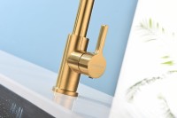 Смеситель для кухни Paulmark Halt Ha214021-BG брашированное золото, с гибким изливом