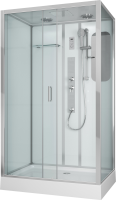 Душевая кабина Niagara Premium NG-6012-01GQL 120х80х210 левая, с низким поддоном