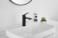 Смеситель для раковины BELZ B507 B10572-7 матовый черный Смеситель для раковины BELZ B507 B10572-7 матовый черный