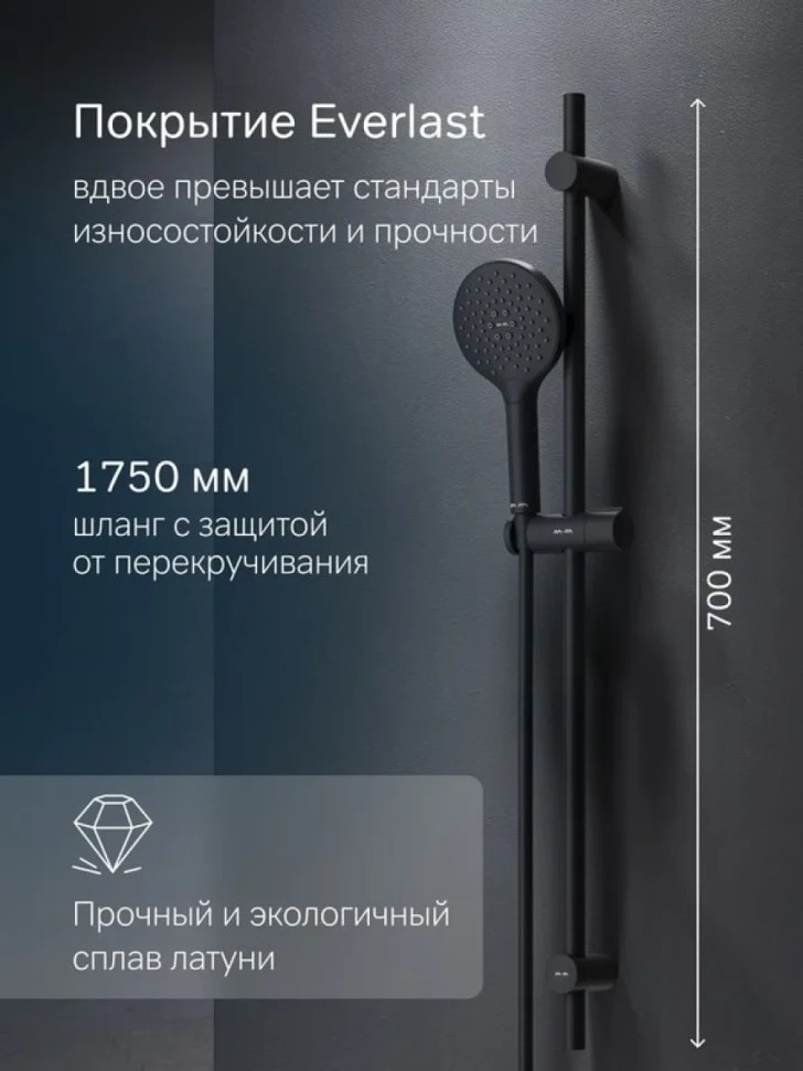 Душевой гарнитур AM.PM Like F0180022 черный