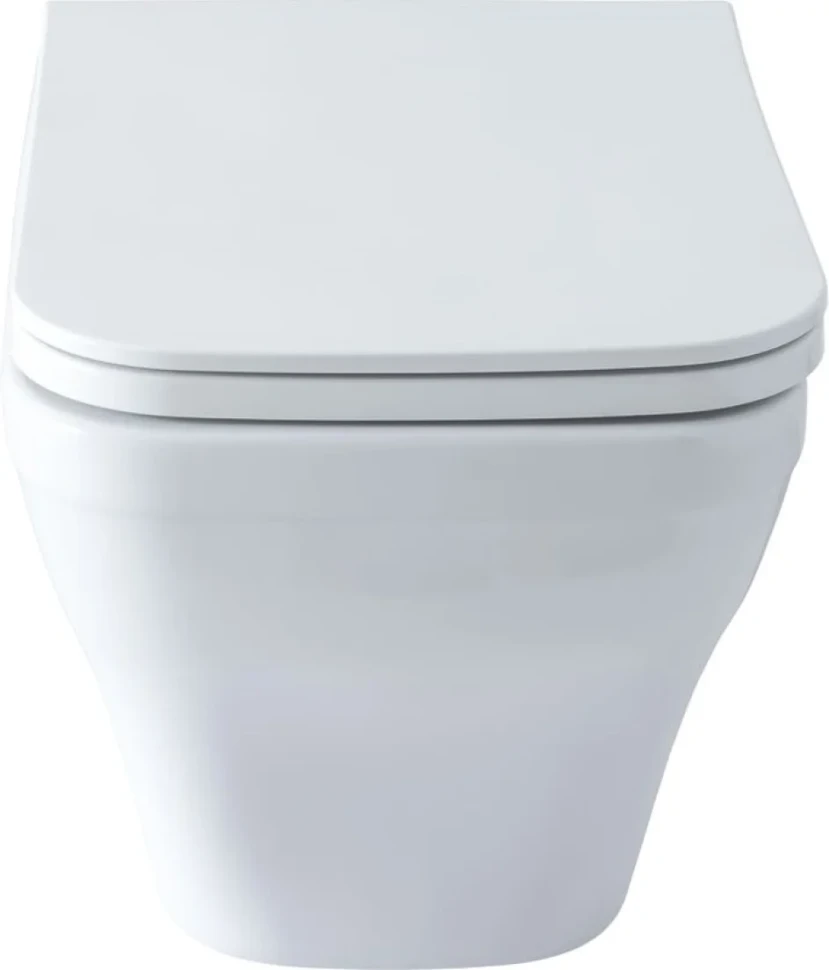 Унитаз подвесной Allen Brau Infinity 4.21011.20 безободковый, с микролифтом