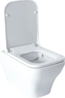 Унитаз подвесной Allen Brau Infinity 4.21011.20 безободковый, с микролифтом