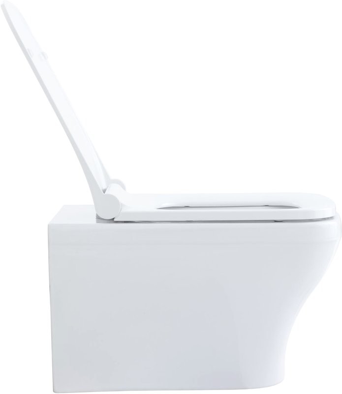 Унитаз подвесной Allen Brau Infinity 4.21011.20 безободковый, с микролифтом