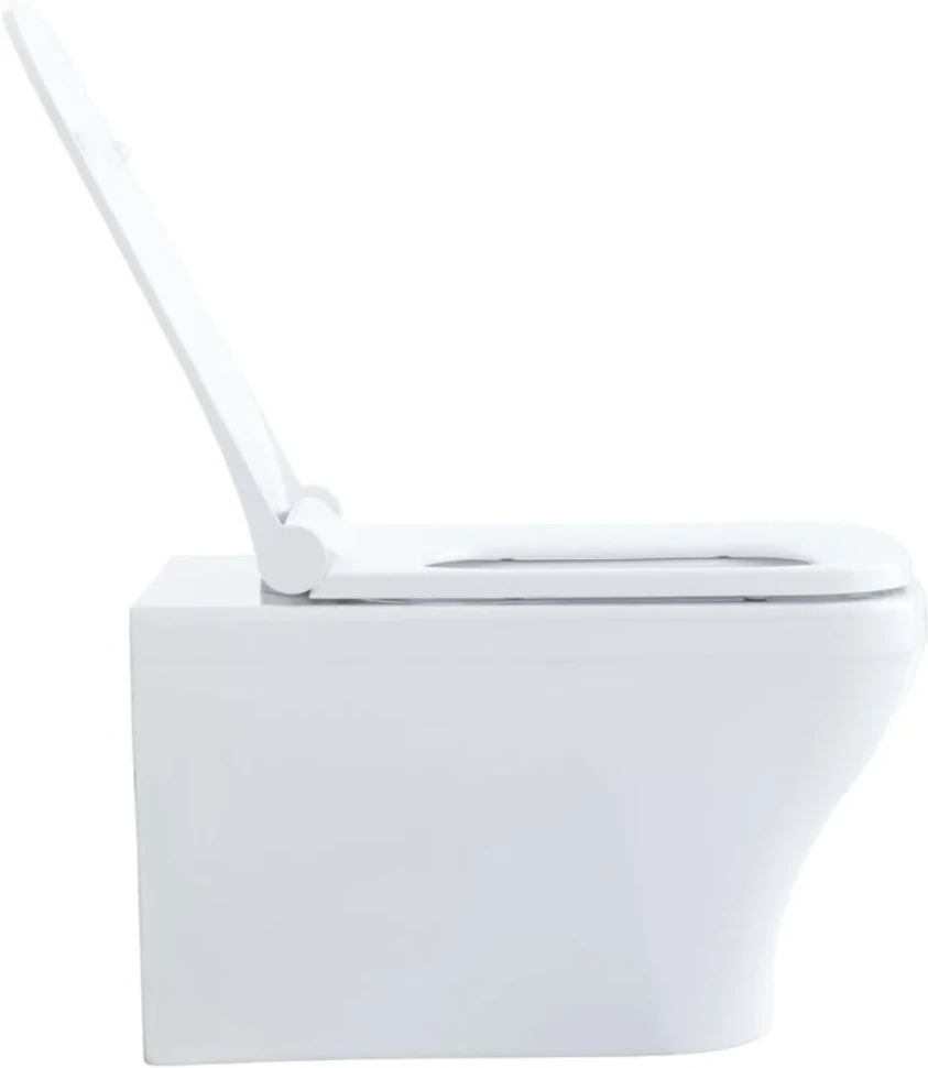 Унитаз подвесной Allen Brau Infinity 4.21011.20 безободковый, с микролифтом