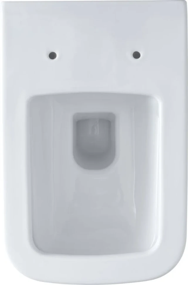 Унитаз подвесной Allen Brau Infinity 4.21011.20 безободковый, с микролифтом
