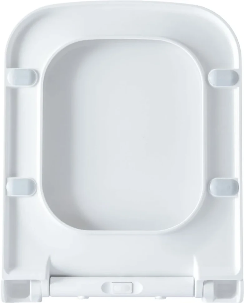 Унитаз подвесной Allen Brau Infinity 4.21011.20 безободковый, с микролифтом