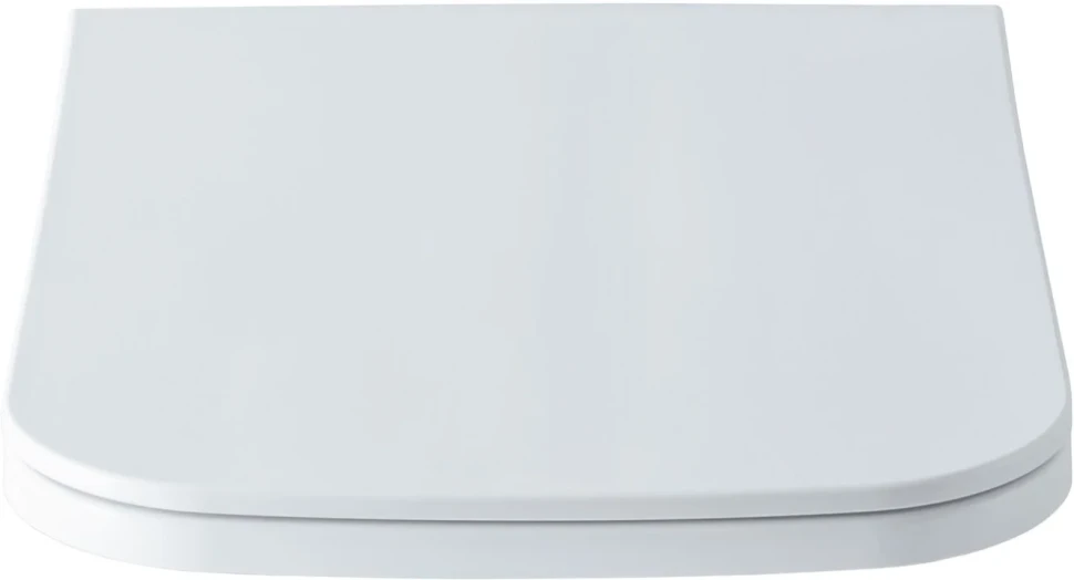 Унитаз подвесной Allen Brau Infinity 4.21011.20 безободковый, с микролифтом