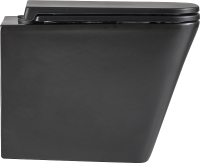 Унитаз подвесной Lemark Florex 9612002 безободковый, с микролифтом, матовый черный