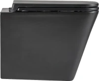 Унитаз подвесной Lemark Florex 9612002 безободковый, с микролифтом, матовый черный