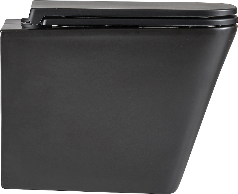 Унитаз подвесной Lemark Florex 9612002 безободковый, с микролифтом, матовый черный
