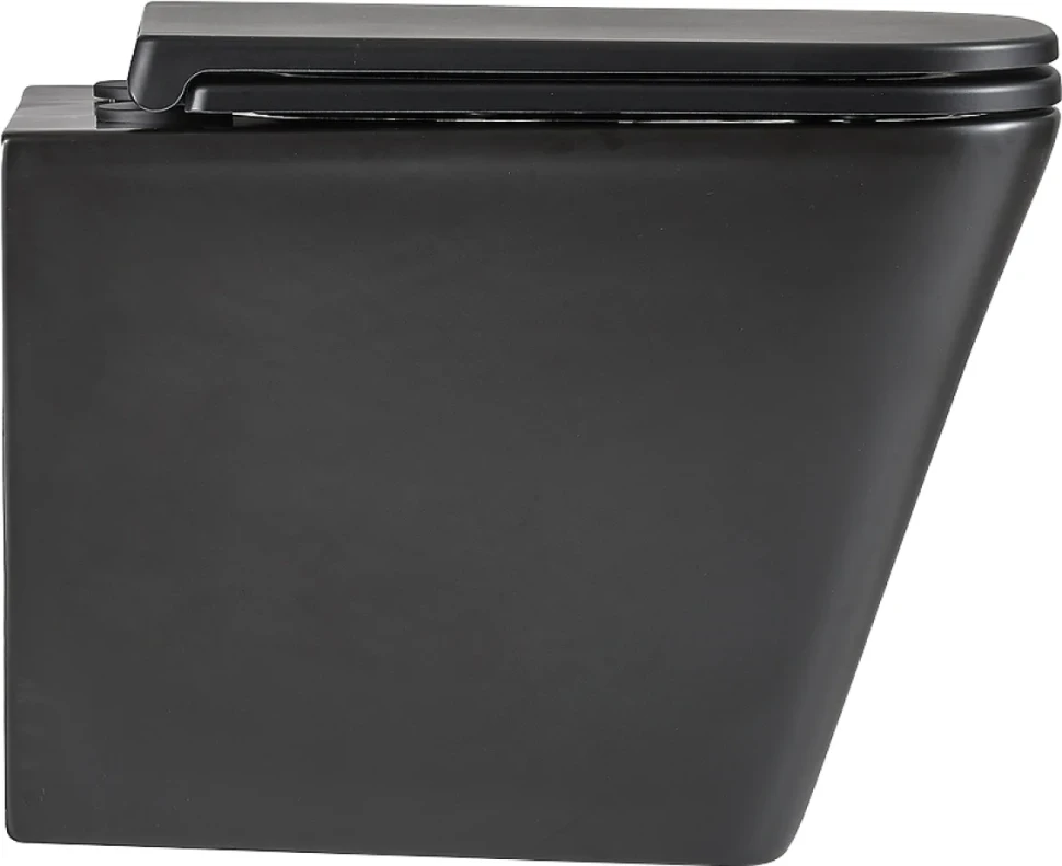 Унитаз подвесной Lemark Florex 9612002 безободковый, с микролифтом, матовый черный