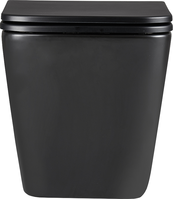 Унитаз подвесной Lemark Florex 9612002 безободковый, с микролифтом, матовый черный